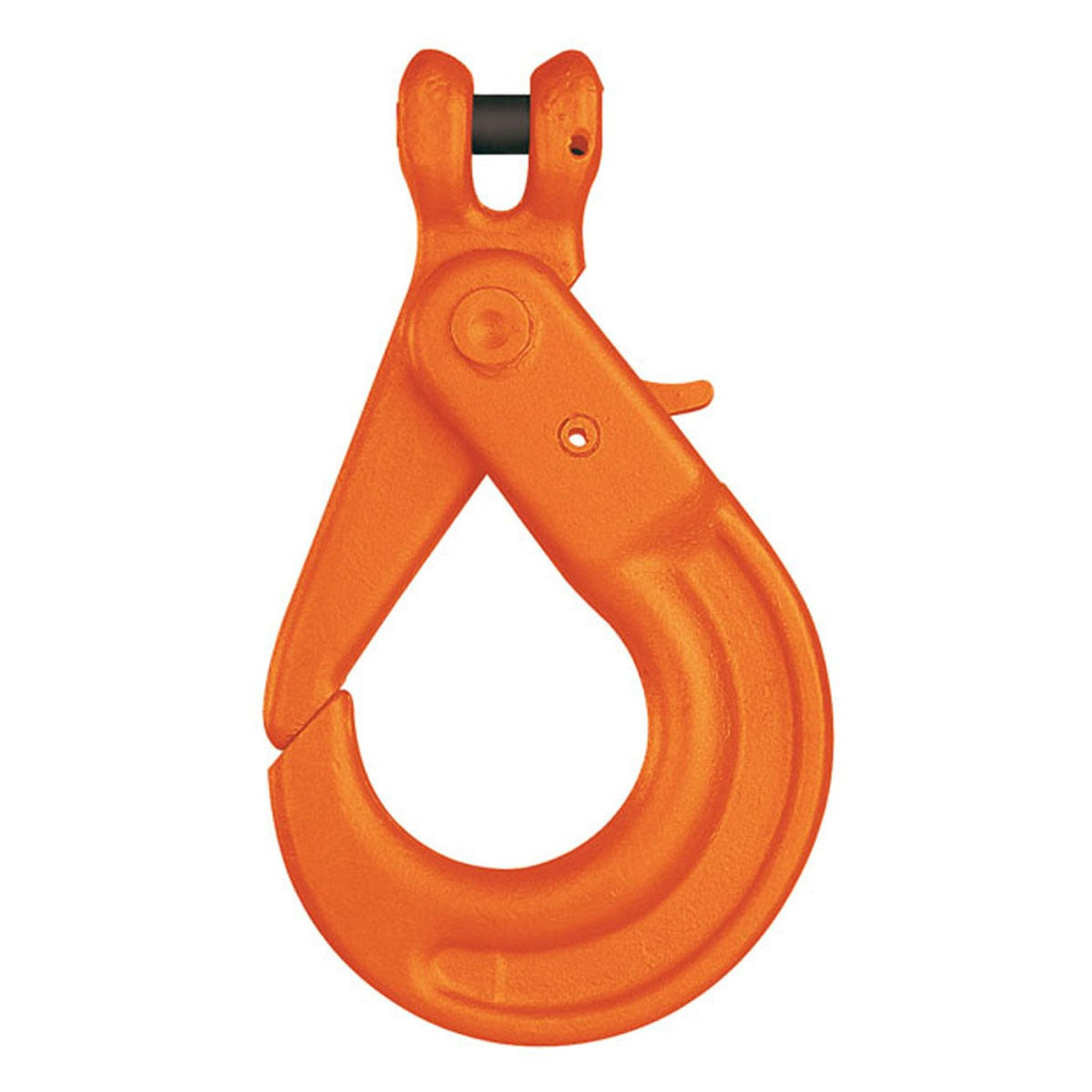 Hak bezpieczny widełkowy KLHW, klasa 10, PEWAG WINNER