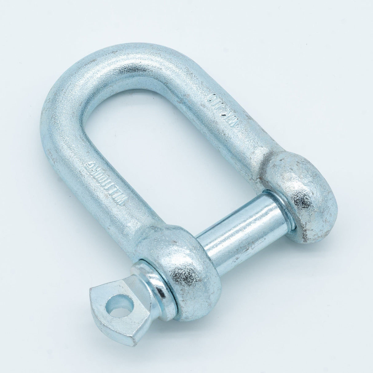 Szekla prosta, kuta, ocynk