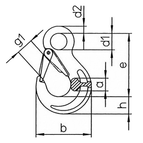 Hak z uchem i zabezpieczeniem HSW, klasa 10, PEWAG WINNER